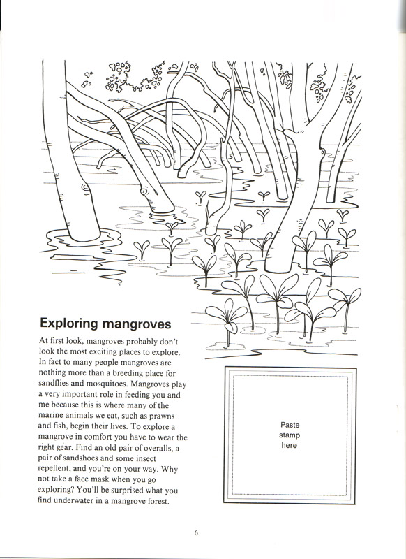 Australian Mangroves - aus dem Buch